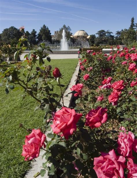 EXPO CENTER - EXPOSITION PARK ROSE GARDEN | City of Los Angeles ...