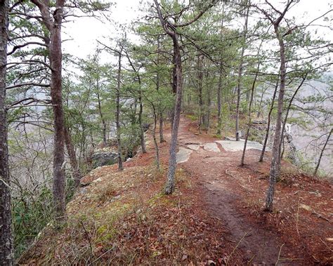 Hiking in New River Gorge National Park [Trail Guide]