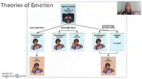 Theories Of Emotion In Psychology Pdf