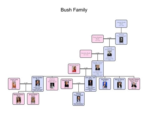 The Bush Family : r/UsefulCharts