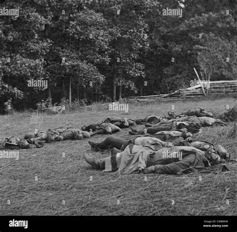 The Civil War. The Battle of Gettysburg. Confederate dead gathered for ...