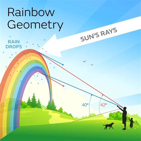 What are the primary rainbow and secondary rainbow?