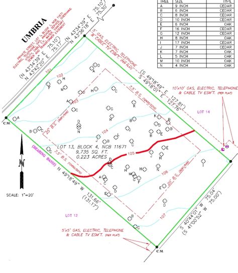 Topographic Survey | Westar Alamo Land Surveyors - San Antonio, Texas