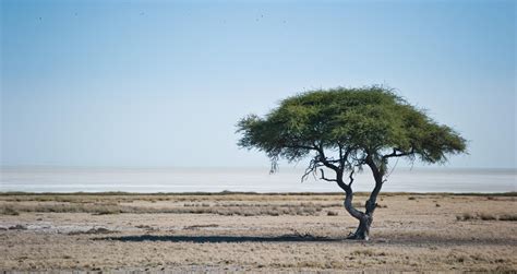 Etosha Safari Lodge Gondwana Collection Namibia - Home