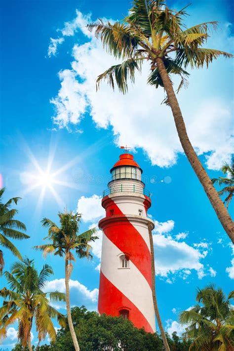 Thangassery Lighthouse on the Cliff Surrounded by Palm Trees and Big ...