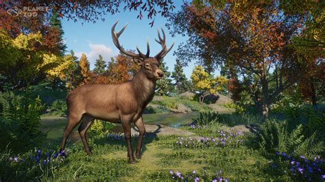 Update 1.11.2 and Planet Zoo 3rd Anniversary! - Planet Zoo