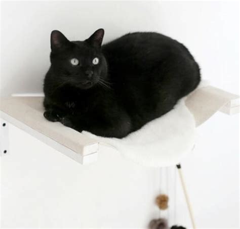 Simple DIY Cat Hammock | DIYIdeaCenter.com