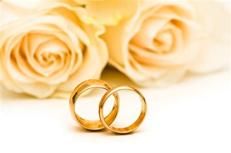 HD wallpaper: gold-colored wedding bands, flowers, roses, engagement ...