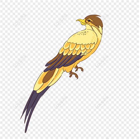 Maya Bird Clipart Images