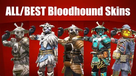 ALL and BEST Bloodhound Legendary Skins - YouTube