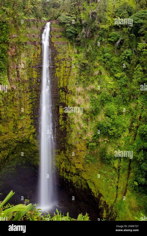 waterfall, Akaka Falls, cascade, waterfalls Stock Photo - Alamy