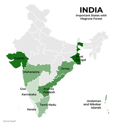 Mangrove Forest In India Map Upsc