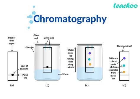 What is Chromatography?: Gas Liquid Chromatography, HPLC - Chemical ...