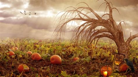 Autumn Pumpkins Desktop Wallpaper (50+ images)