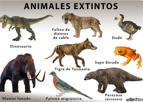 Nombra a 10 animales extintos ? Y que menos mal se extinguieron si no ...