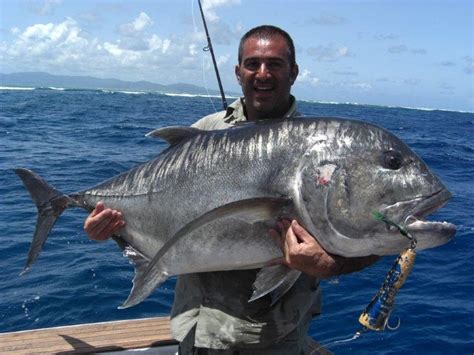 Giant Trevally image