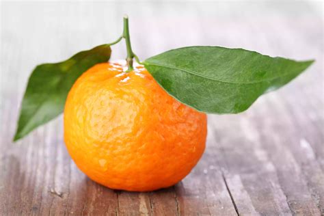 Types of Winter Oranges and Tangerines | Mandarin orange, Citrus fruit ...