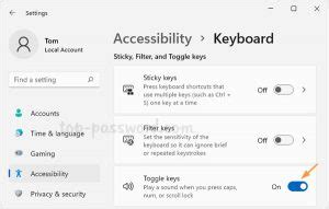 3 Ways to Turn on / off Toggle Keys Sound in Windows 11 | Password Recovery