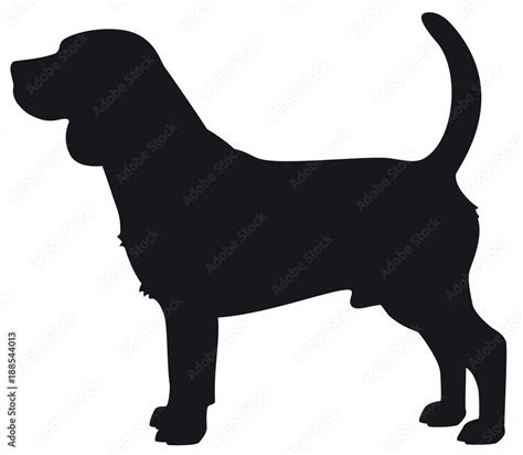 Beagle dog - Vector black silhouette isolated Stock Vector | Adobe Stock