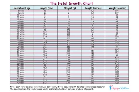 fetal weight chart by week in kg