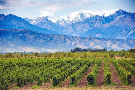 Argentina: a slumbering wine giant awakens