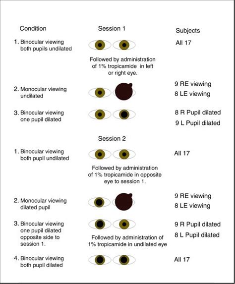 Pupil Size Chart Normal