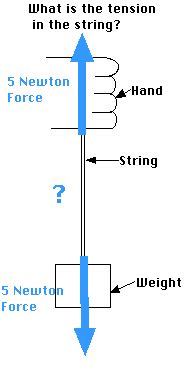 Dynamics - Tension in a String Activity