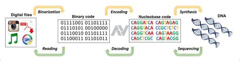 DNA Data Storage – Synthetic DNA – Future Of Storage – Ashutosh Viramgama