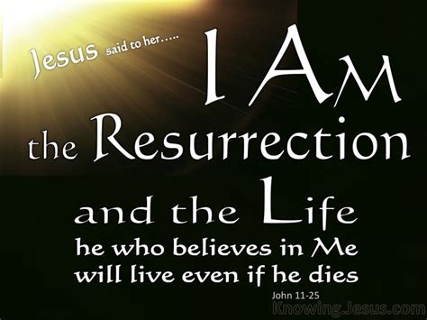 45 Bible verses about Resurrection, Of Believers