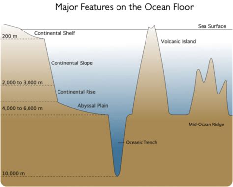 The Ocean Floor | CK-12 Foundation