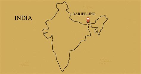 All About the Darjeeling Tea Region - Harney & Sons Fine Teas