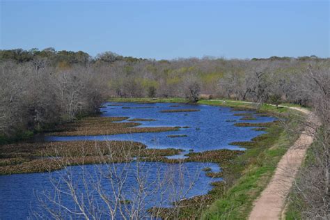 The Alligators of Brazos Bend State Park - The Life Well Traveled