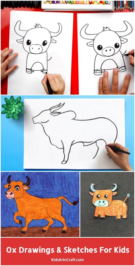 Ox Drawing & Sketches For Kids - Kids Art & Craft