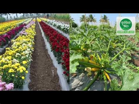 KRUSHIK 2023 - Live Demo & Agri Expo @KVK Baramati - YouTube