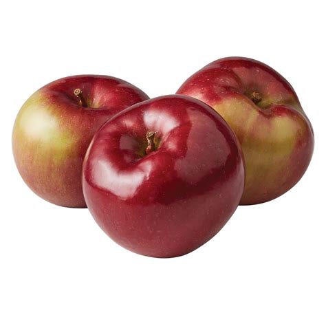 Different Types of Apples (with Photos!)