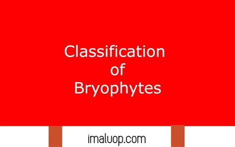 Classification of Bryophytes - Imaluop - IMALUOP