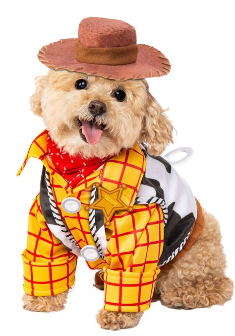 Disney Toy Story Woody Pet Costume