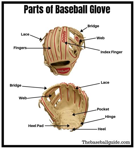 Baseball Glove Parts - Images Gloves and Descriptions Nightuplife.Com