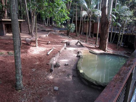 Capybara enclosure - ZooChat