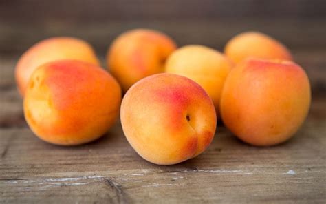 Organic Honey Rich Apriums! This apricot-plum hybrid is one of the ...