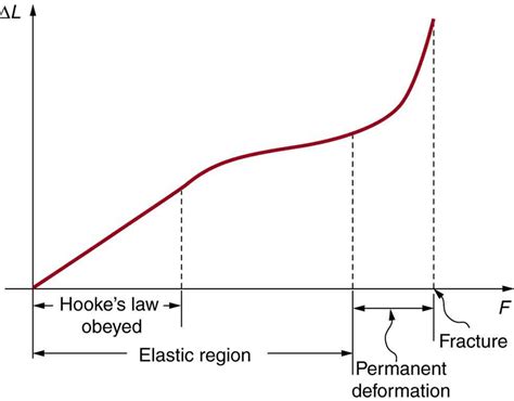 10.1 Force-Deformation Curve – Biomechanics of Human Movement