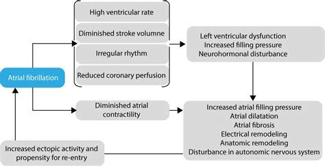 Atrial fibrillation: ECG, classification, causes, risk factors ...