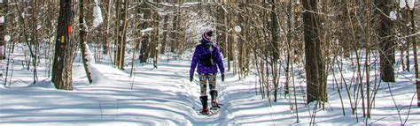 Snow-mazing Things to Do in Sault Ste Marie Ontario This Winter » I've ...