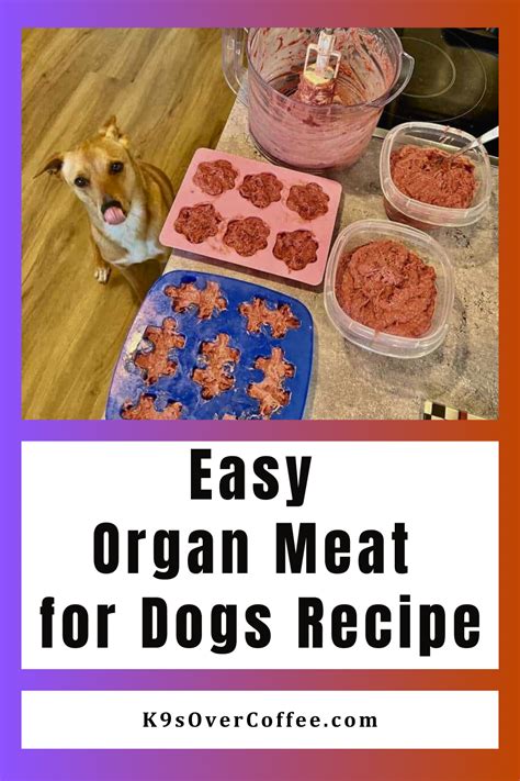 Organ Meat For Dogs Recipe - K9sOverCoffee - A Dog Health & Raw Dog ...