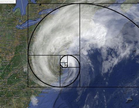 7 Beautiful Examples Of The Fibonacci Sequence In Nature