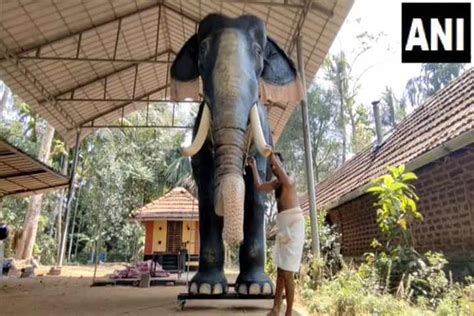 Robotic elephant joins rituals in Kerala's Sree Krishna Temple