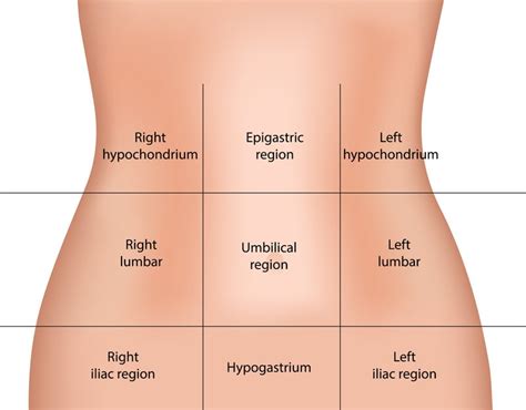 Upper Abdominal Pain: Find Out What is Causing It and What You Can Do