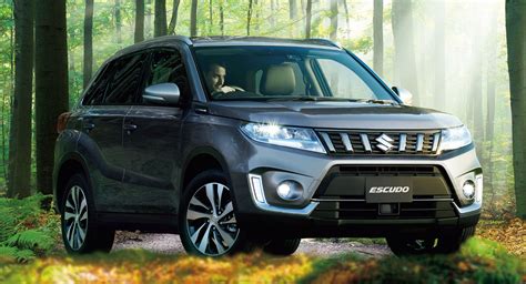 completamente meteorito Misericordioso suzuki vitara hybrid 2020 ...