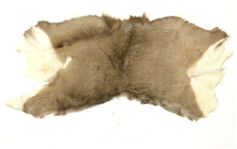 Lot - White Tail Deer Pelt