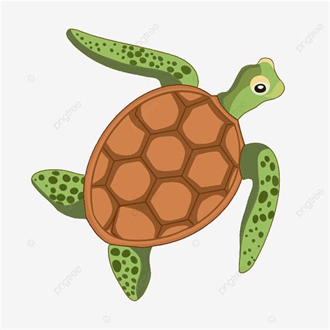 Cute Sea Turtle Clipart PNG Images, Cute Sea Turtle Clipart, Tortoise ...